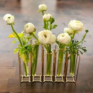 Brass And Clear Glass Test Tube Vases